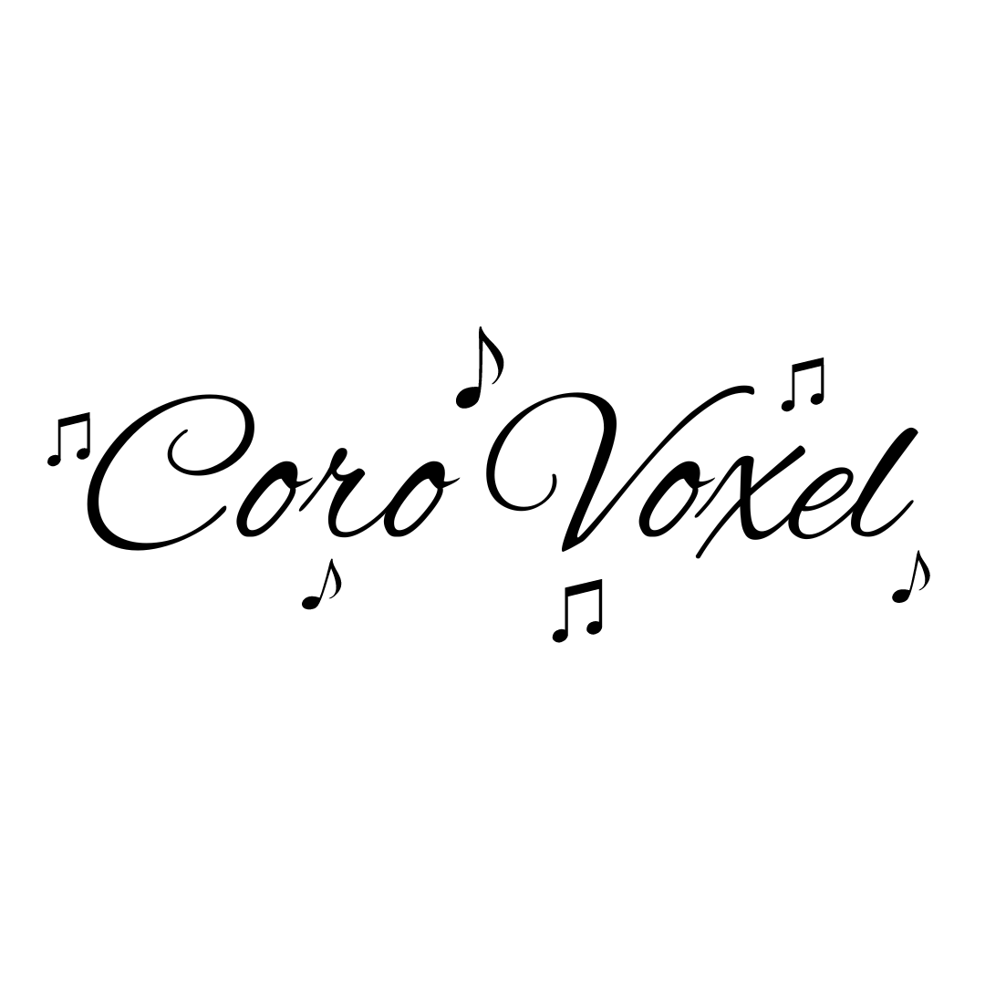 Coro Voxel