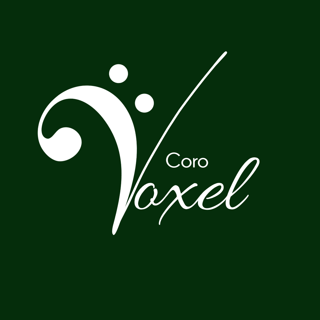 Coro Voxel